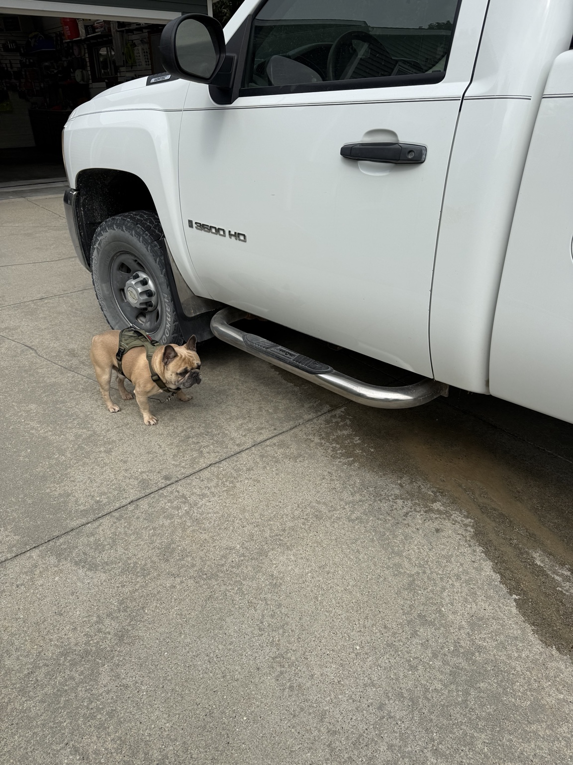 Tyrus inspecting a white work truck