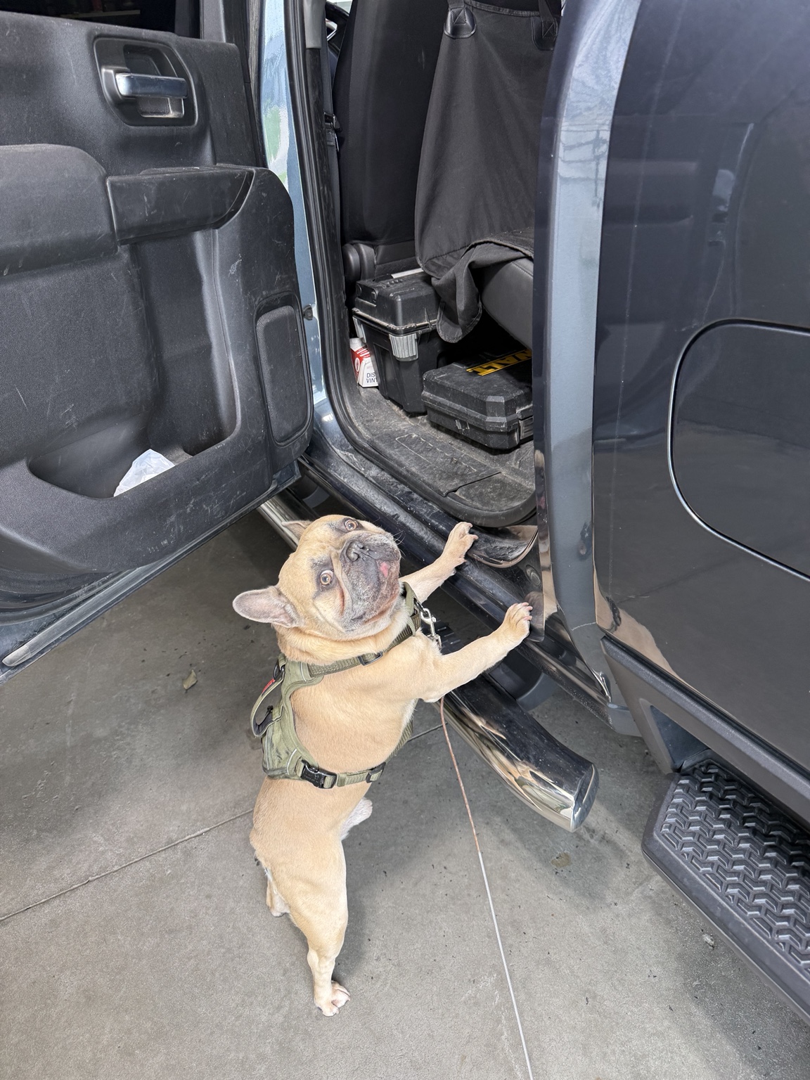 Tyrus, Andrist Detailing Quality Control Manager